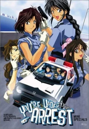 Вы арестованы (cпэшлы) Вы арестованы (cпэшлы)